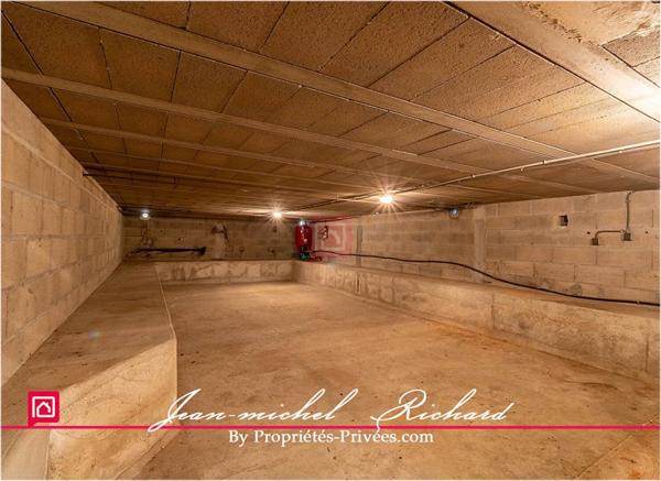 Maison Selles Sur Cher 5 pièce(s) 166 m2