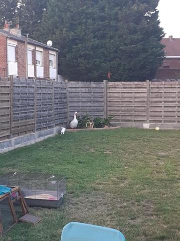 Maison semi individuelle à ERRE 4 chambres