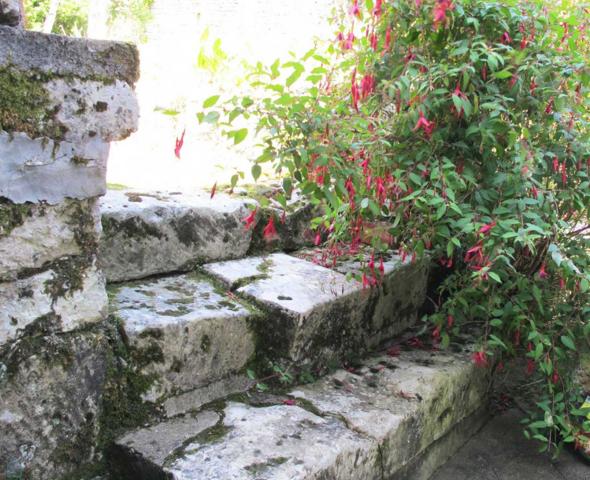 MAISON DE VILLE 270M², JARDIN ET GARAGE