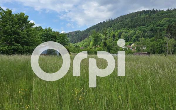 Terrain à vendre    Ban-sur-Meurthe-Clefcy