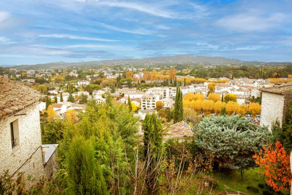 Vaison-la-Romaine (84110) COUP DE COEUR ASSURÉ ! AUTHENTIQUE MAISON EN PIERRE, BAIGNÉE D'HISTOIRE, AVEC TERRASSE.PANORAMIQUE