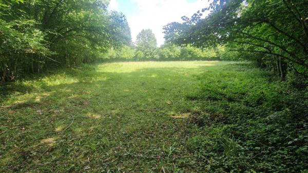 Vente / Terrain constructible