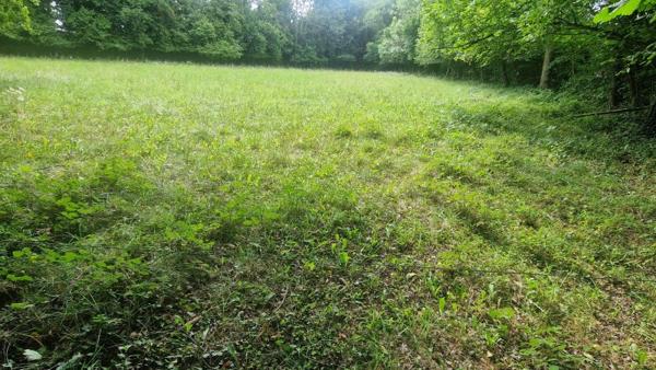 Vente / Terrain constructible