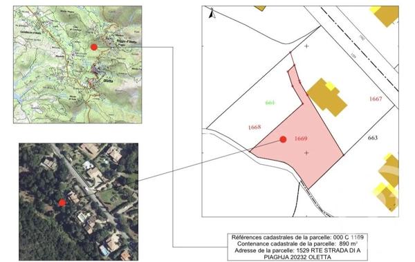 Terrain à vendre  890 m 2   OLETTA  - 202