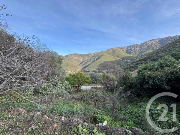 Terrain à vendre  890 m 2   OLETTA  - 202
