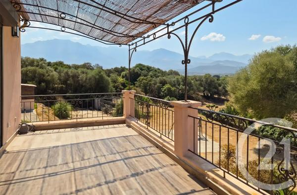 Maison à vendre  8 pièces - 242,28 m 2   MONTICELLO  - 202