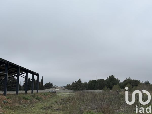 Terrain à vendre 16 205 m² Sigean