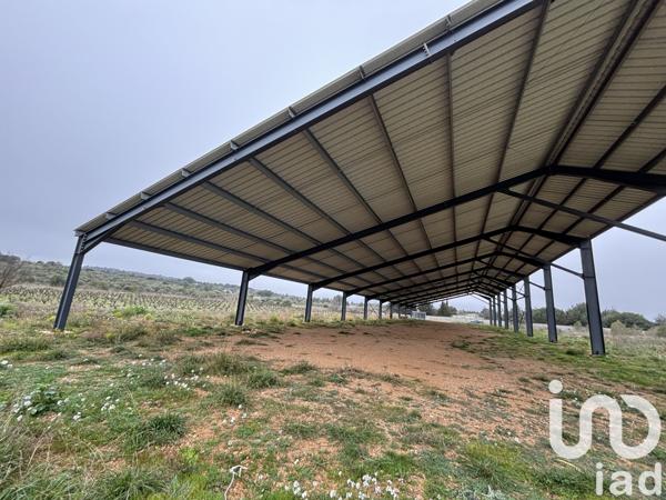 Terrain à vendre 16 205 m² Sigean