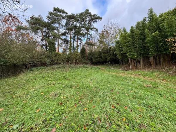 Ingouville — Terrain à bâtir 1 230 m² — À 4 km de Saint-Valery-en-Caux