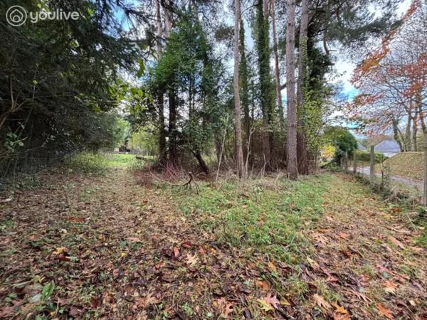 Ingouville — Terrain à bâtir 1 230 m² — À 4 km de Saint-Valery-en-Caux