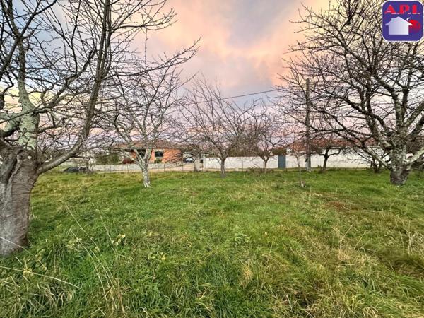 Achat vente Terrain Lorp Sentaraille