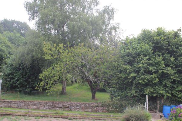 Maison  6 pièce(s) 124 m2 + TERRAIN  de 800m² constructible