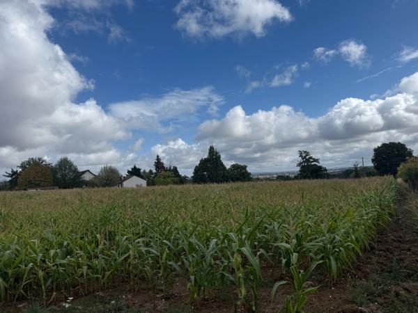 Terrain constructible 11 025m² 23 000 €