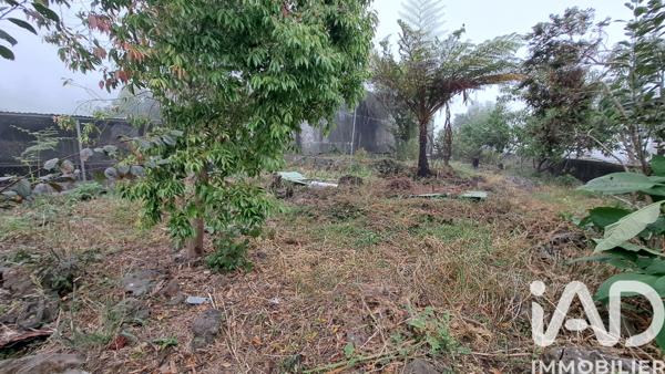 Maison à vendre 5 pièces 95 m² Le Tampon