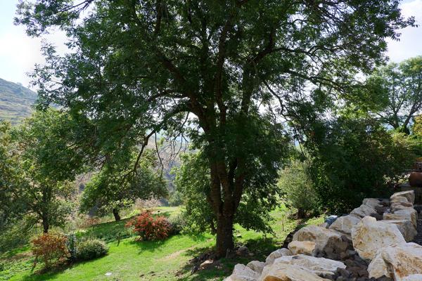 Ancienne ferme ardéchoise rénovée avec vue - 284 m²
