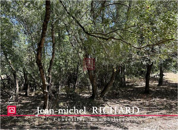 Terrain de loisirs SAULDRE Selles Sur Cher 3200 m2