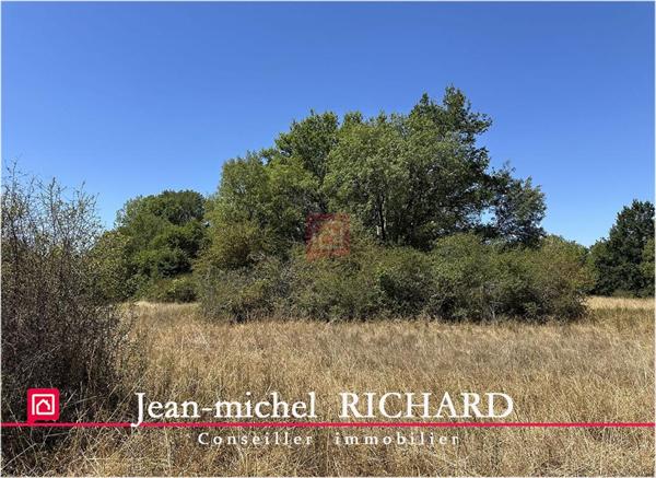 Terrain de loisirs SAULDRE Selles Sur Cher 3200 m2