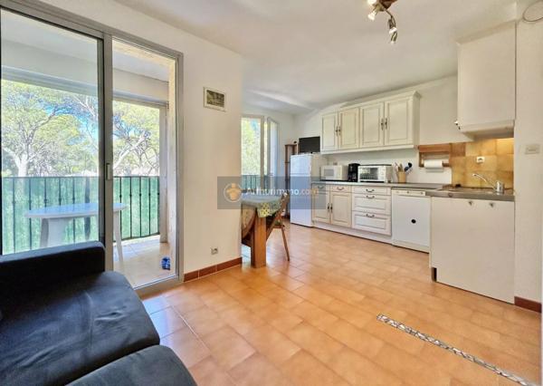 Vente Appartement 1 pièces 24 m2 à Saint-Aygulf