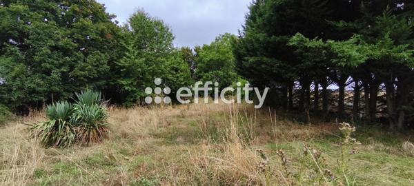 Maison 5 pièces - 103 m²