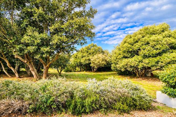 Un domaine de vacances entre mer et maquis à Bonifacio