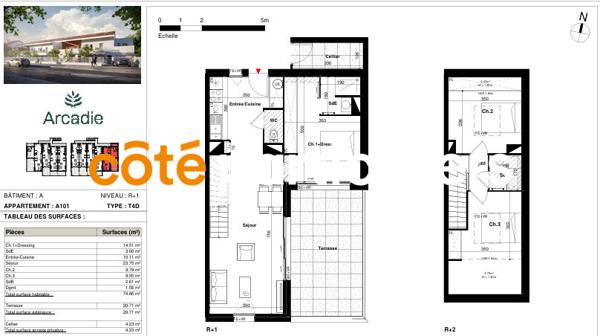 Vente Programme Neuf74,86 m² - 4 Pièces - TOULOUSE (31100)