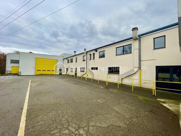 Local d activites de 9 000 m²