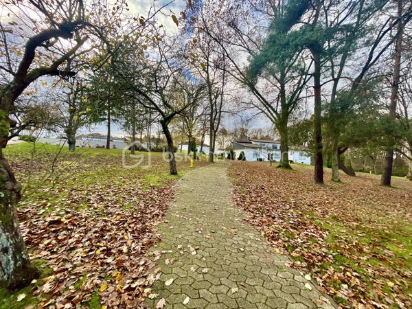 Local d activites de 9 000 m²