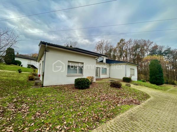 Local d activites de 9 000 m²