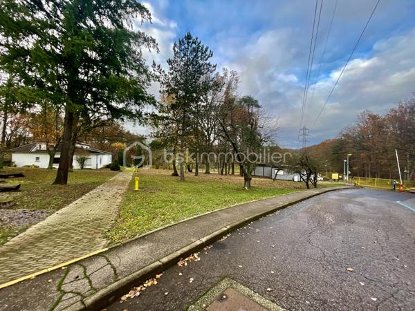 Local d activites de 9 000 m²