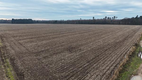EXCLUSIF Proche de Strasbourg propriété agricole.