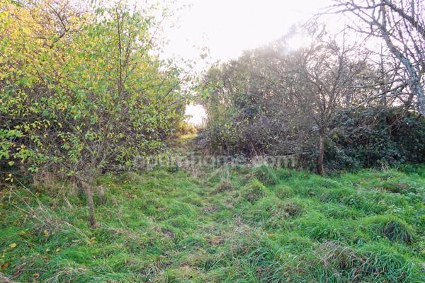 Nouveauté à VELAINE SOUS AMANCE