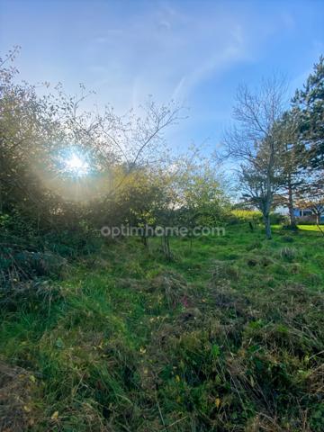Nouveauté à VELAINE SOUS AMANCE
