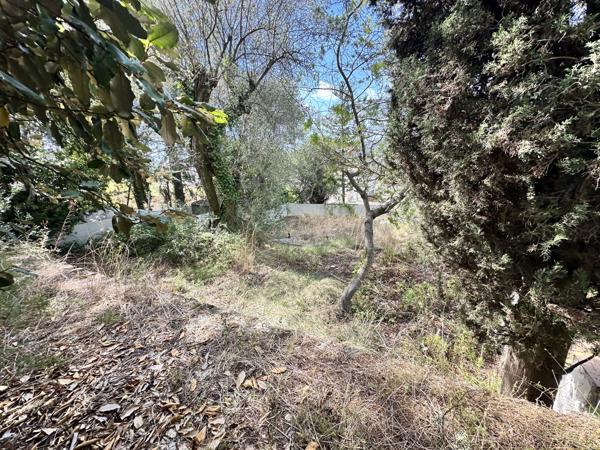 Saint-André-de-la-Roche (06730) SAINT ANDRE DE LA ROCHE : TERRAIN A BATIR DE 600m² ENVIRON, DOMINANT, PLEIN SUD