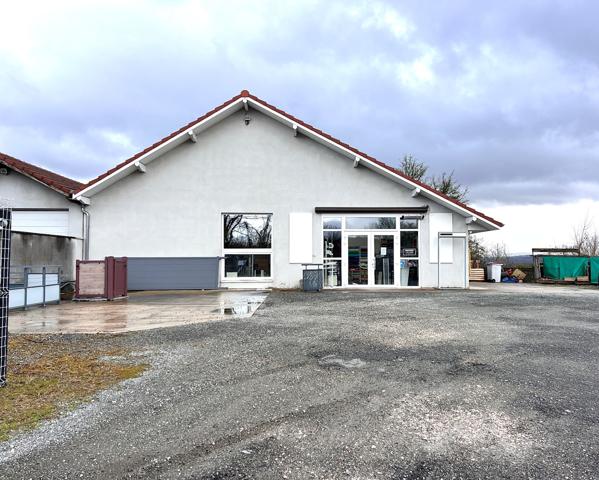 Bien d’Exception sur les Hauteurs de MONTBELIARD de 220 m2