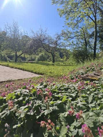 Pavillon sur sous-sol de 138 m² SUR 2700 m² de terrain Aignay-le-Duc 21510