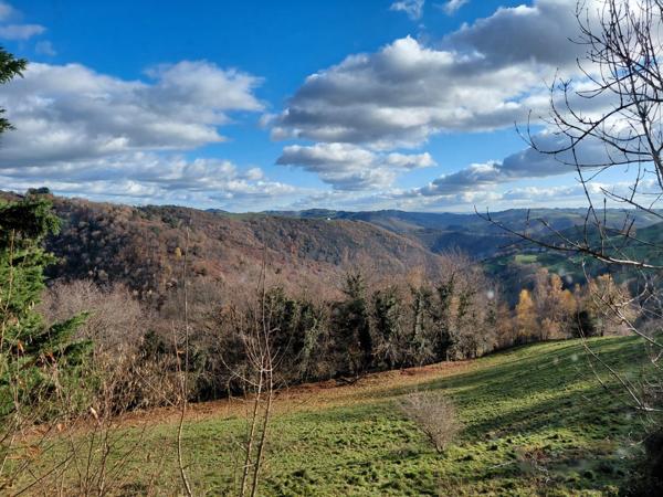 Bien d’exception – Corps de ferme sur 35 hectares avec vue dominante sur la vallée du Lot