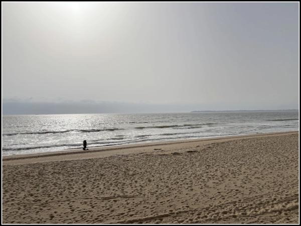 APPARTEMENT LA BAULE - FACE MER