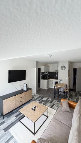 appartement meublé pour 9 mois