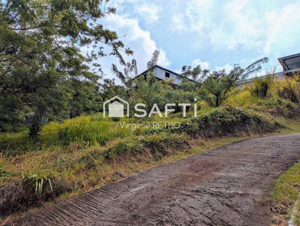 Terrain constructible