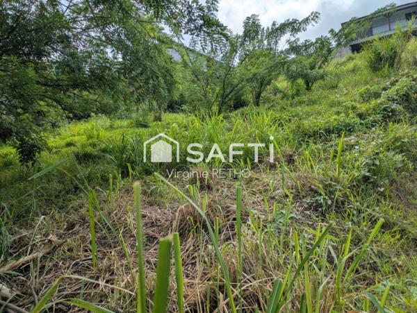 Terrain constructible