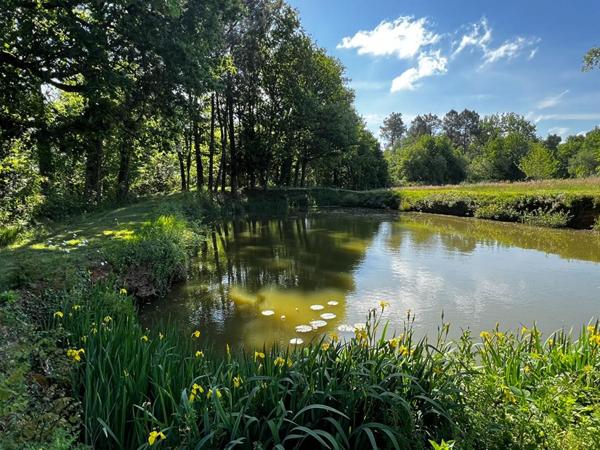 Maison  T5/6 d'env. 173 m2 avec étang, verger et nombreuses annexes sur  SANILHAC (24660)