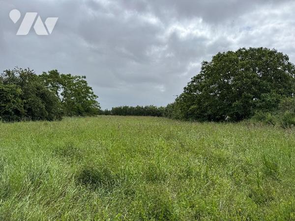 Terrain constructible à vendre sortie Fontenay