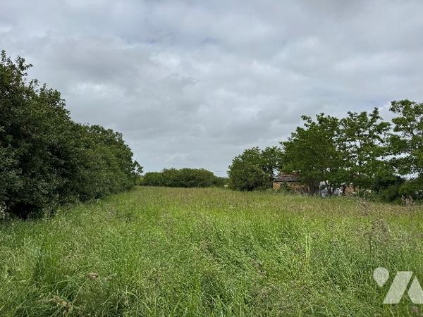 Terrain constructible à vendre sortie Fontenay