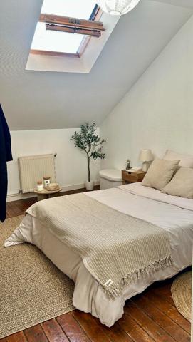 Appartement Onzain 3 pièces