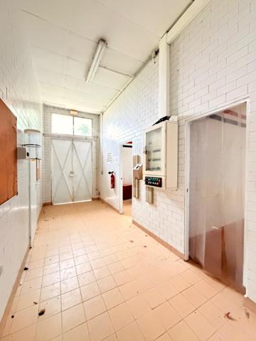 Local professionnel de 1800 m2 sur 1,5 hectares