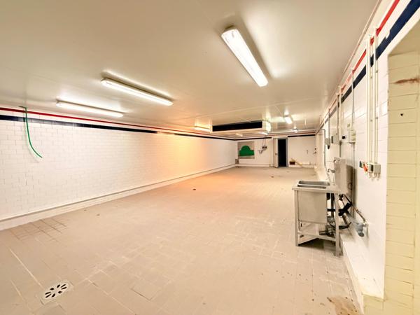 Local professionnel de 1800 m2 sur 1,5 hectares