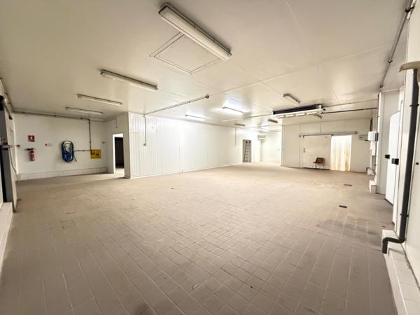 Local professionnel de 1800 m2 sur 1,5 hectares