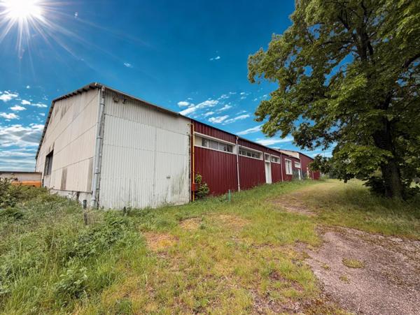 Local professionnel de 1800 m2 sur 1,5 hectares