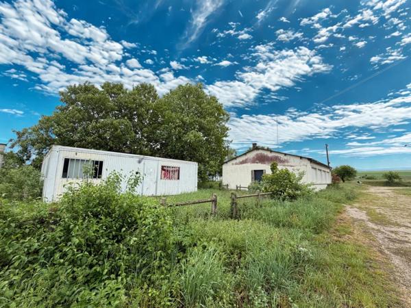 Local professionnel de 1800 m2 sur 1,5 hectares