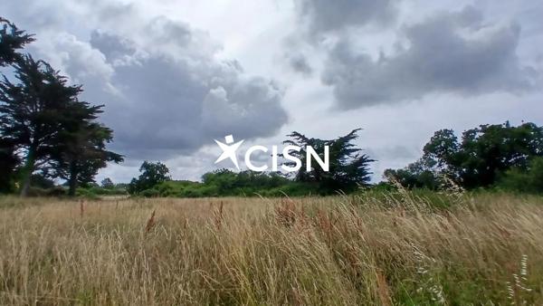 Terrain à vendre à Baule-Escoublac (44500)